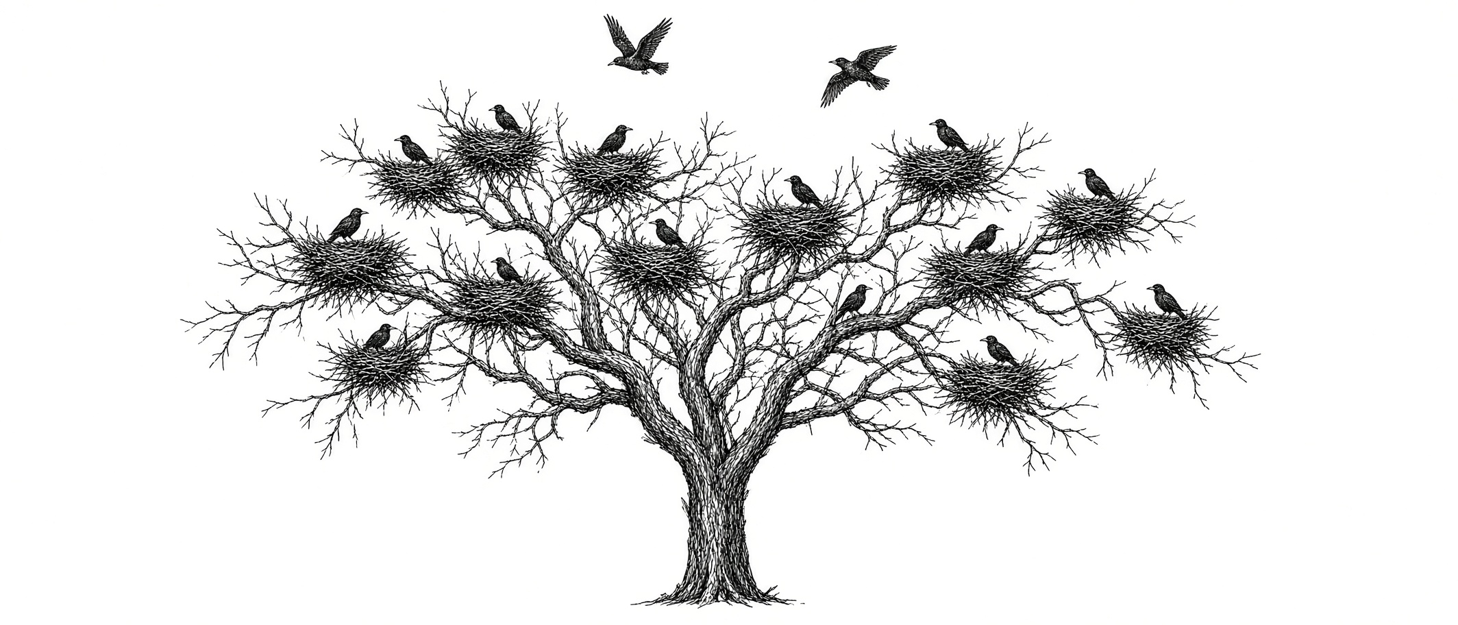 An engraved rookery: one bare tree carrying many stick nests
